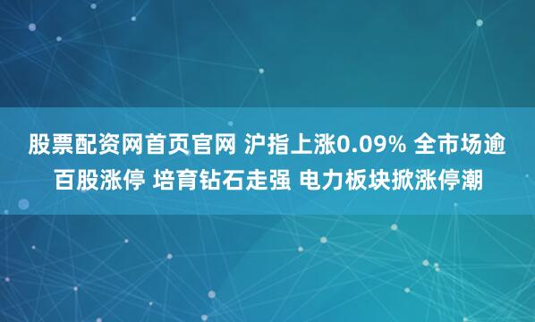 股票配资网首页官网 沪指上涨0.09% 全市场逾百股涨停 培育钻石走强 电力板块掀涨停潮
